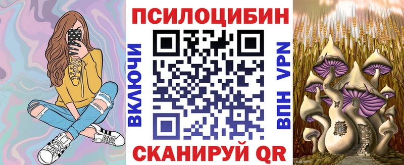 Псилоцибиновые грибы Psilocybe  Кологрив 